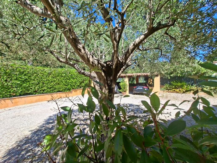 Image No.31-4 Bed House for sale