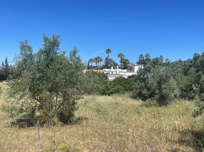 Image No.19-6 Bed House for sale