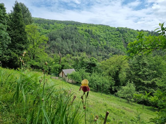 Image No.4-4 Bed House for sale