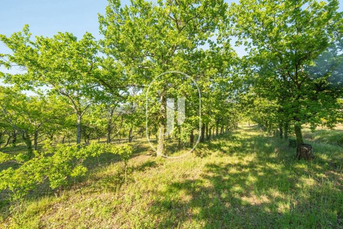 Image No.31-4 Bed House for sale