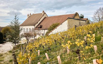 1 - Le Louverot, Property