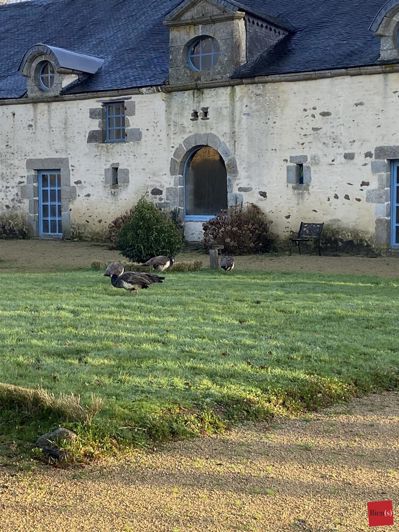 Image No.15-Propriété de 5 chambres à vendre à Hardanges