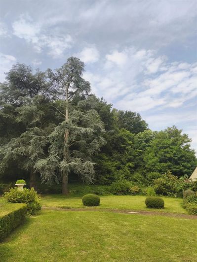Image No.21-6 Bed House for sale