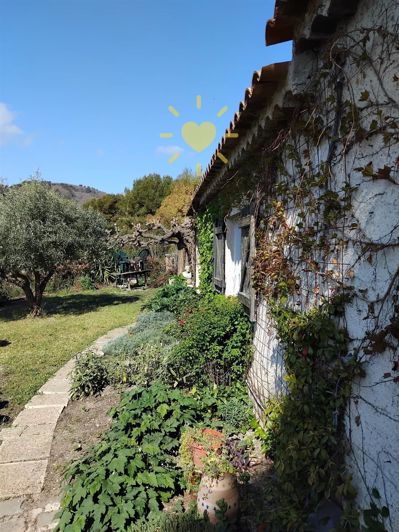 Image No.3-1 Bed House for sale