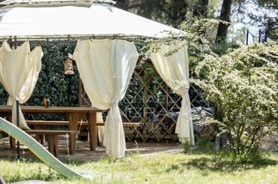 ats6irgzk8lgh80v10