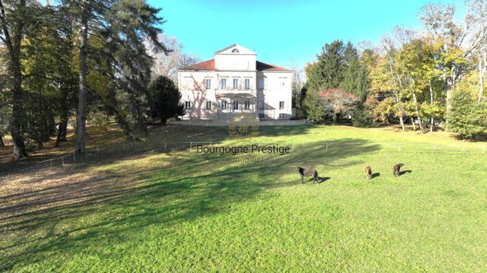 Image No.2-Propriété de 12 chambres à vendre à Tournus