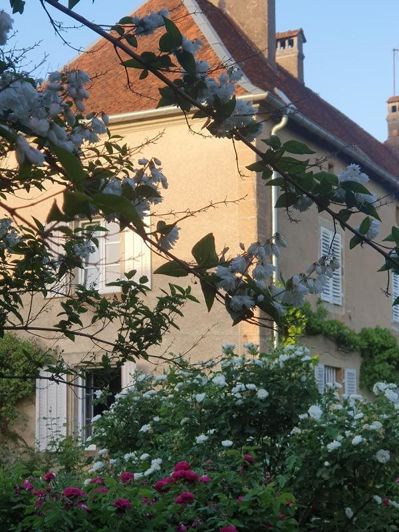 Image No.23-Maison de 4 chambres à vendre à Franche-Comté