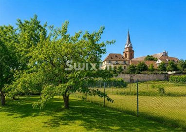 1 - Bergheim, House