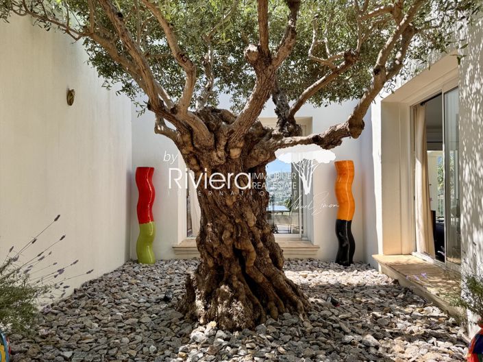 Image No.32-6 Bed House for sale