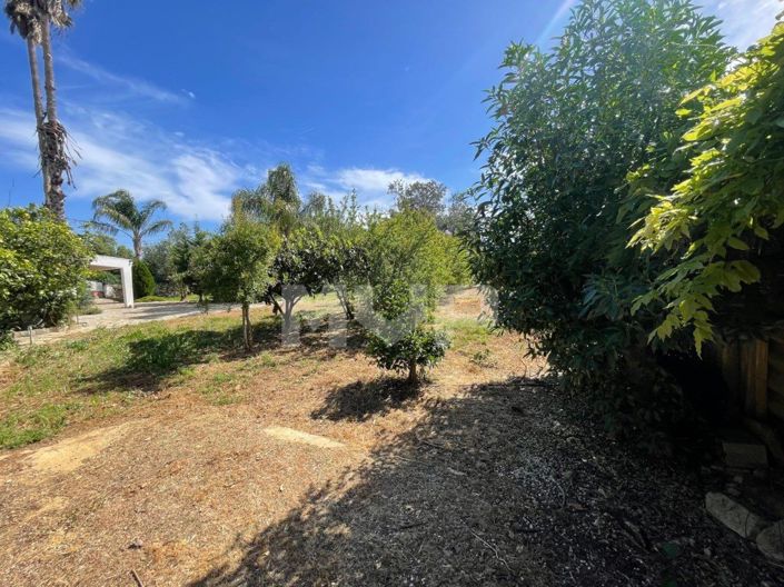 Image No.34-3 Bed House for sale