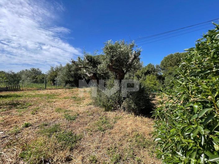 Image No.37-3 Bed House for sale