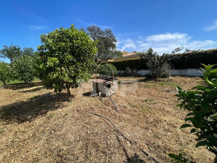 Image No.41-3 Bed House for sale