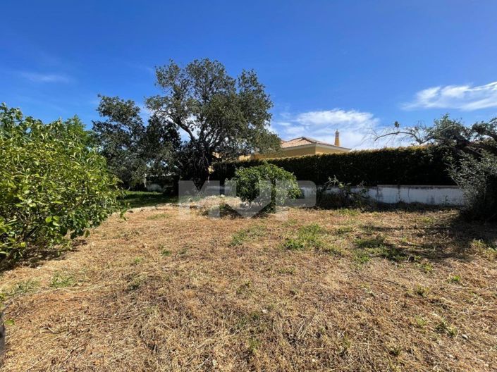 Image No.42-3 Bed House for sale