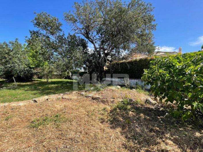 Image No.43-3 Bed House for sale