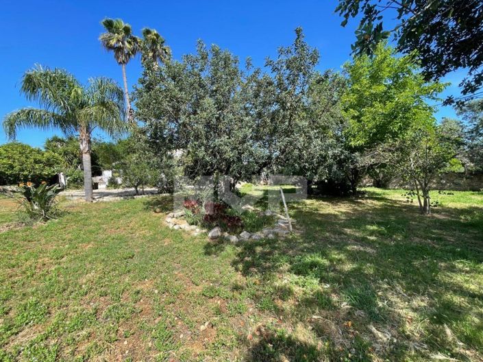 Image No.46-3 Bed House for sale