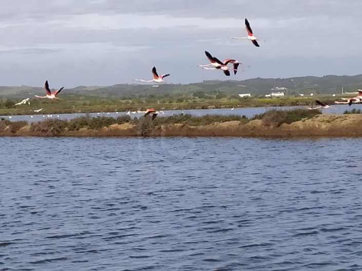 Image No.15-Apartment for sale