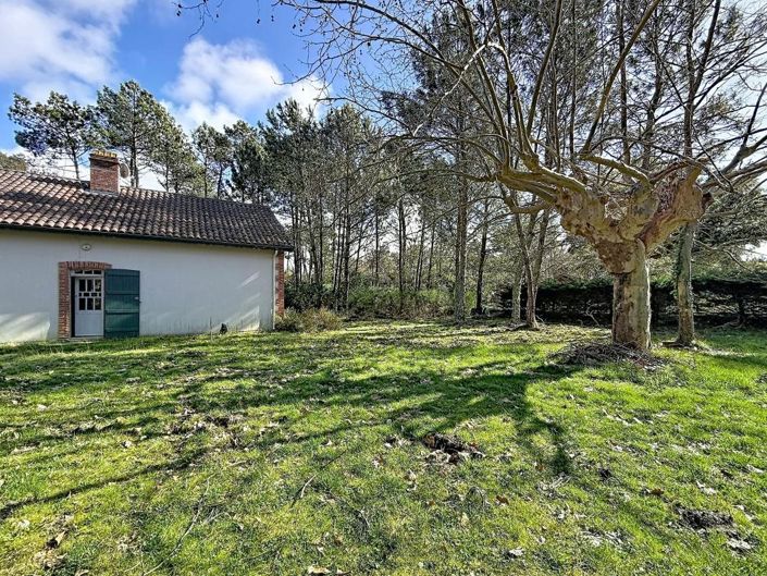 Image No.19-3 Bed House for sale