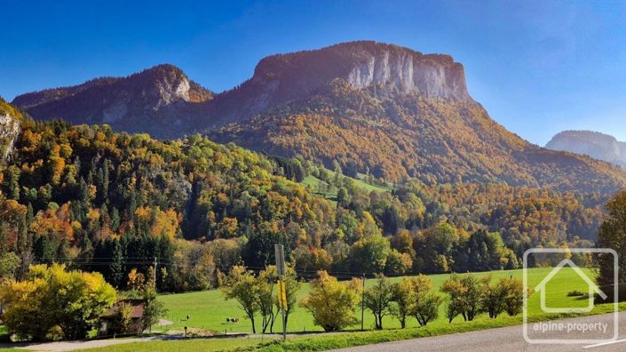 Image No.39-Propriété de 4 chambres à vendre à Haute-Savoie