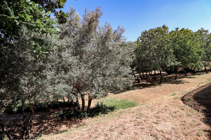 Image No.40-4 Bed House for sale