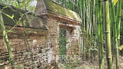 ajapu434t8r39wwn15