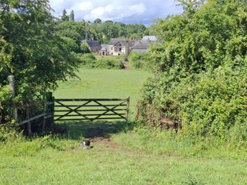 aw1q7blzdr7xt4vg3