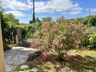 Image No.19-3 Bed House for sale