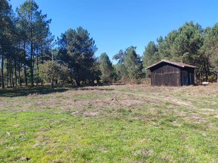 Image No.9-4 Bed House for sale