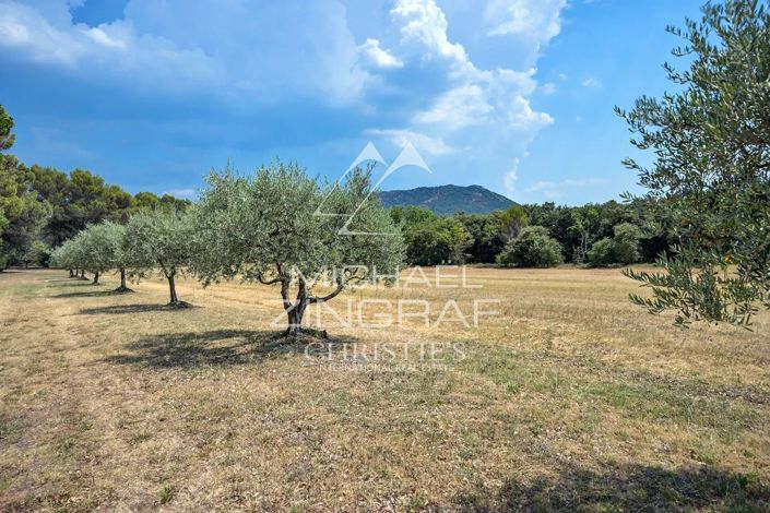 Image No.14-6 Bed House for sale