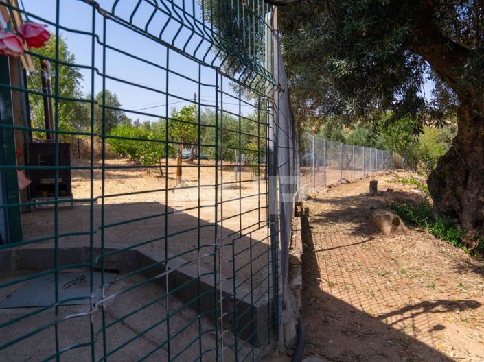 Image No.23-2 Bed House for sale