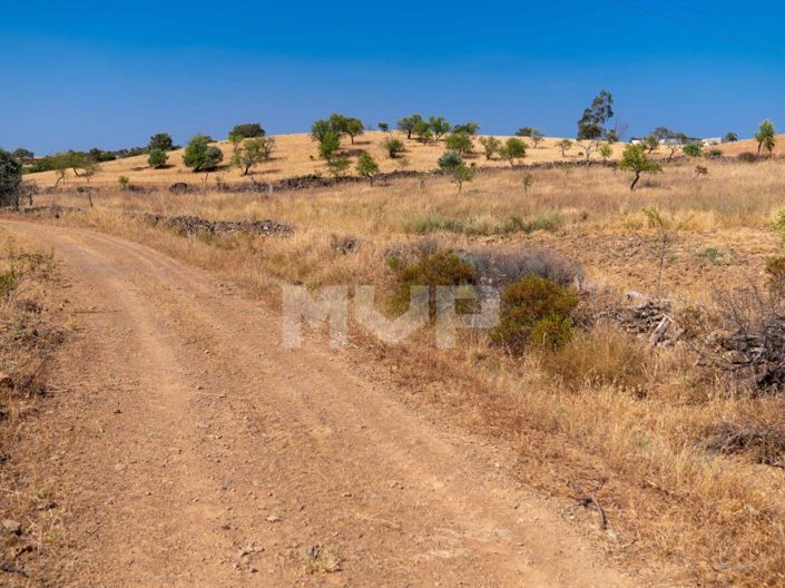 Image No.42-2 Bed House for sale