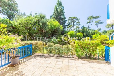a6x60jvaurxg6wju2