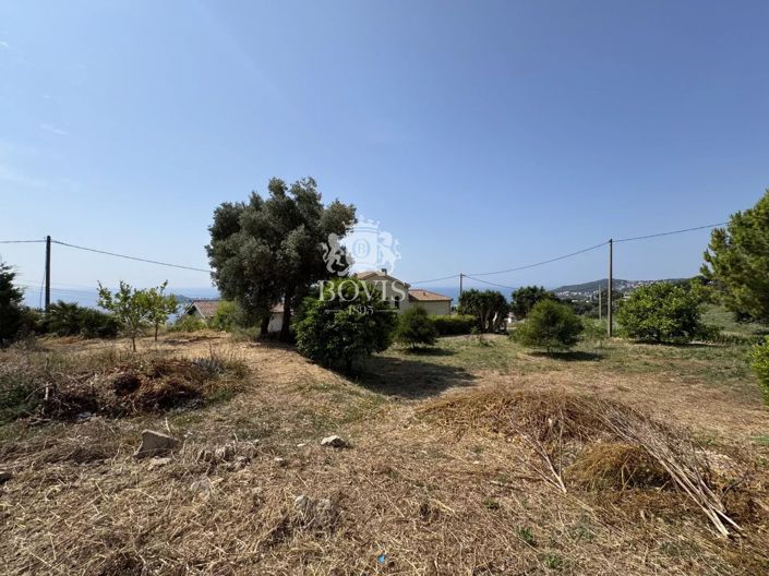 Image No.23-3 Bed House for sale