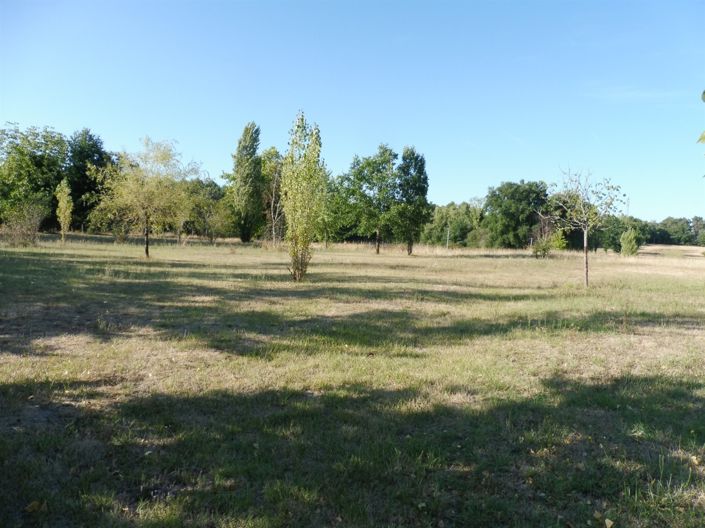 Image No.11-5 Bed House for sale