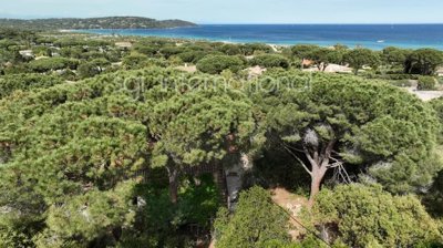adq92db0jfznitoj4