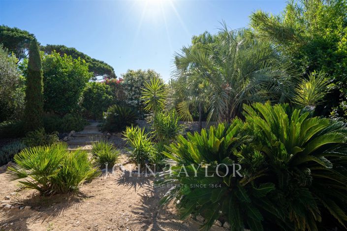 Image No.5-Maison à vendre à Saint-Tropez