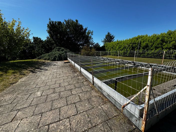 Image No.5-5 Bed House for sale