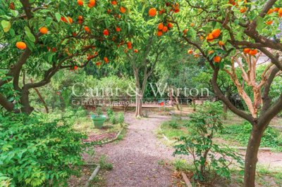 an0txa0hdhop3jiq9