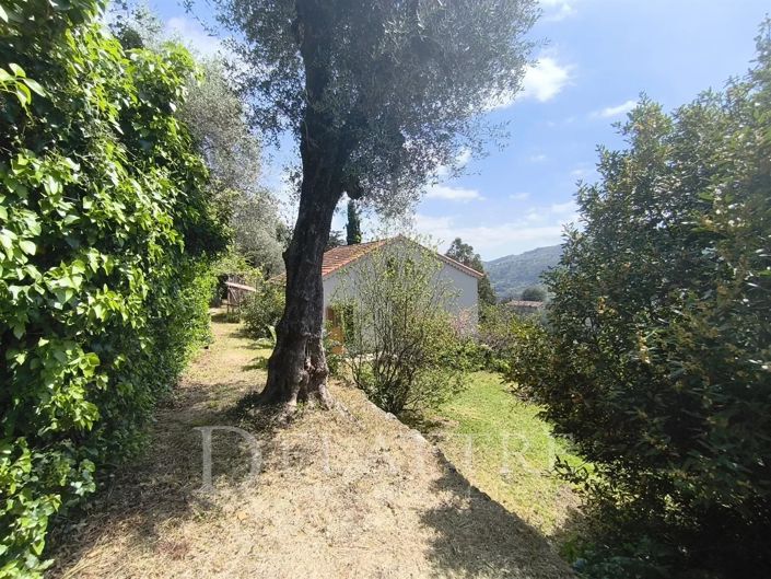 Image No.10-3 Bed House for sale