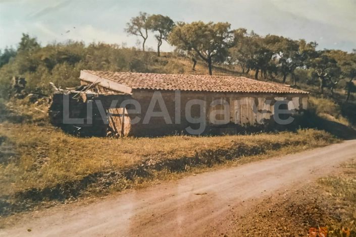 Image No.46-3 Bed House for sale