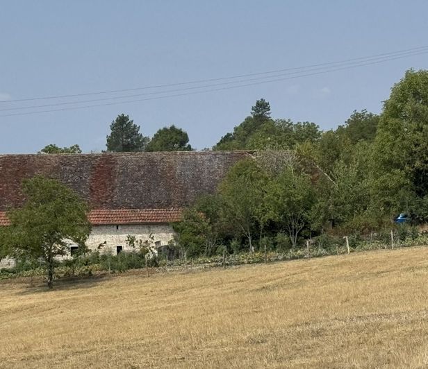 Image No.3-House for sale