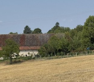 a931ozy5vhuzsj353