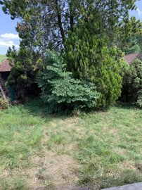 azcxae6xssdp402610