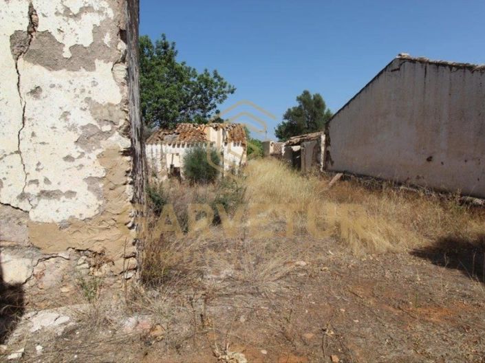 Image No.28-House for sale