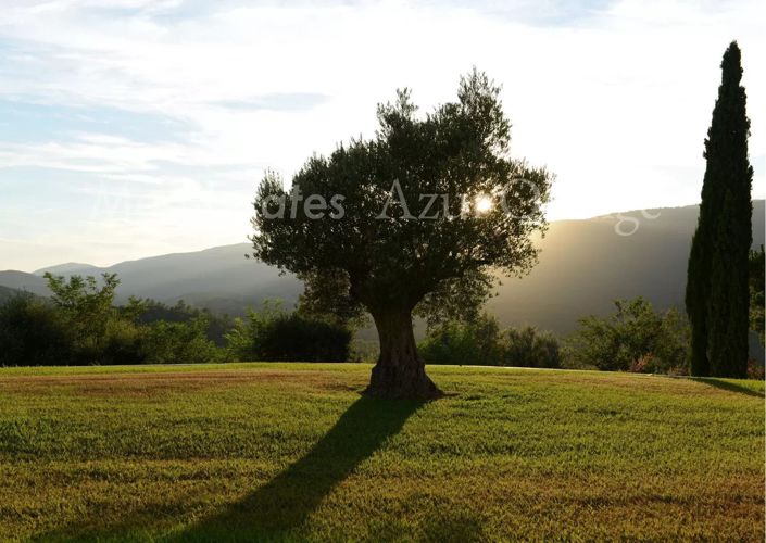 Image No.33-13 Bed House for sale