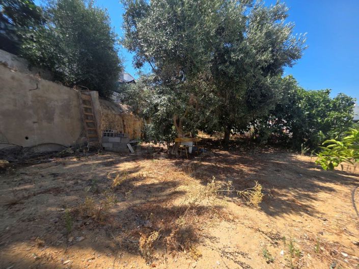 Image No.6-3 Bed House for sale