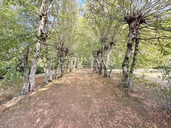 Image No.55-5 Bed House for sale