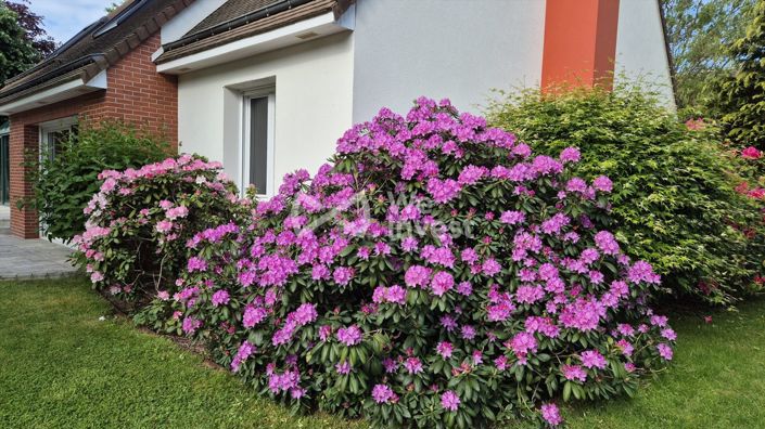 Image No.12-4 Bed House for sale