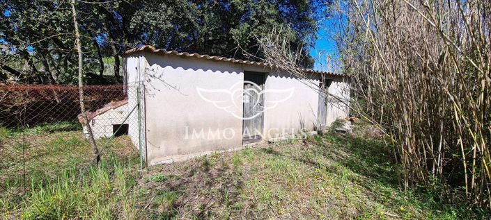 Image No.21-3 Bed House for sale