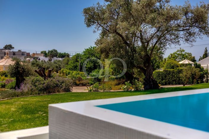 Image No.45-8 Bed House for sale