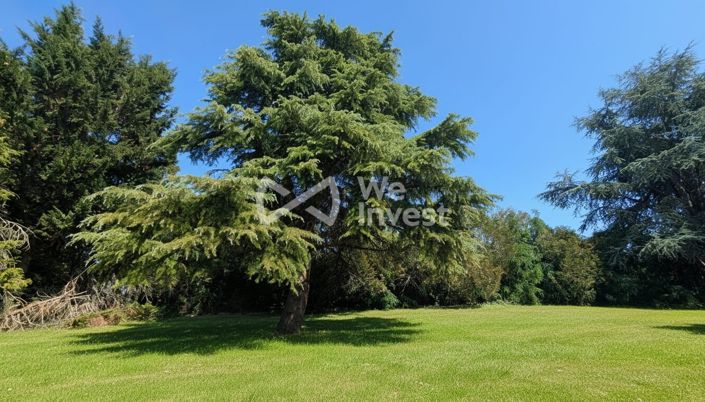 Image No.17-6 Bed House for sale